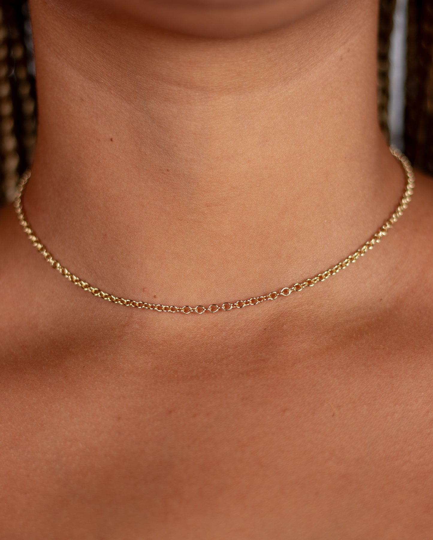 Gold Plated Round Chain Necklace